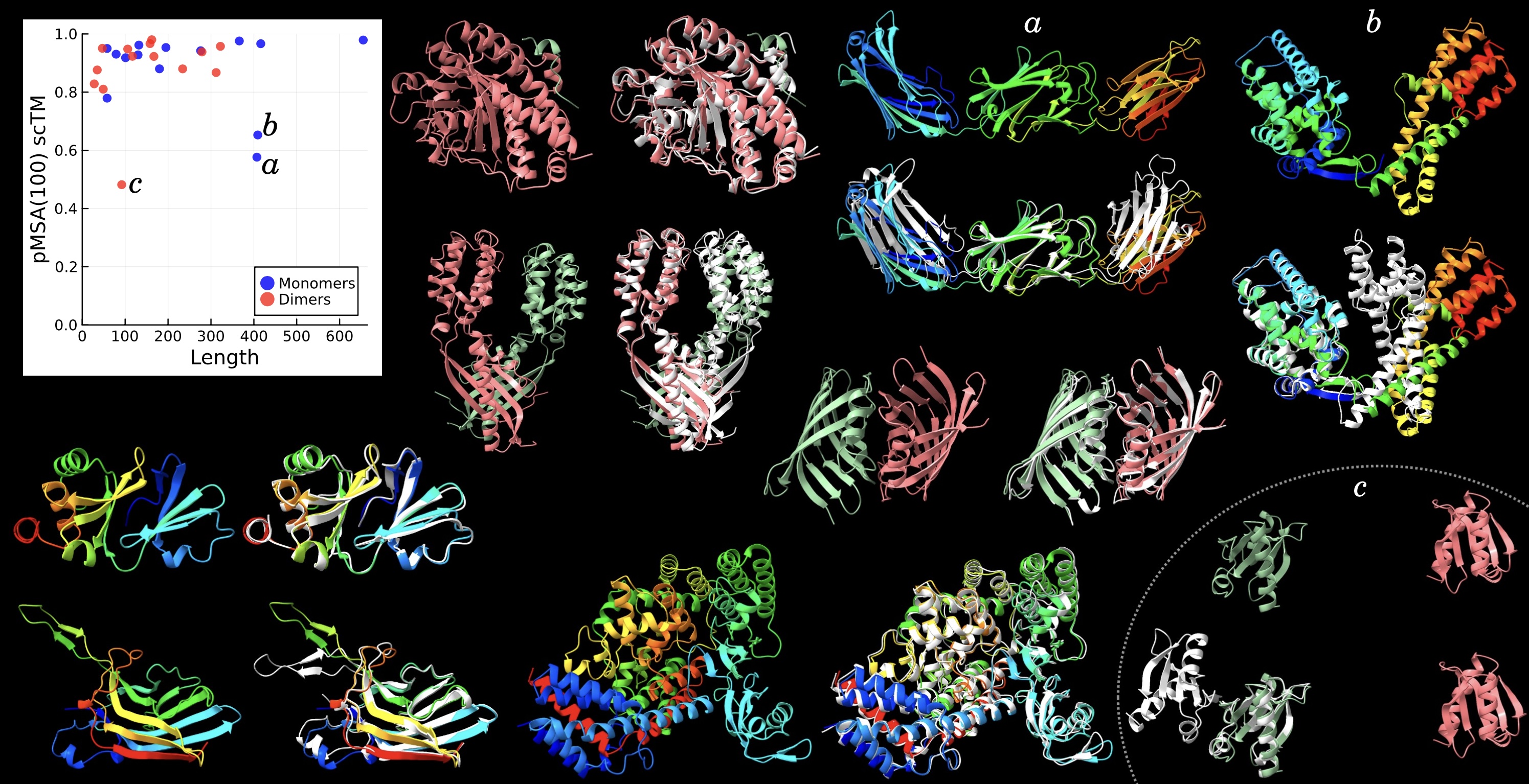 ChainStorm generated protein structure samples.
