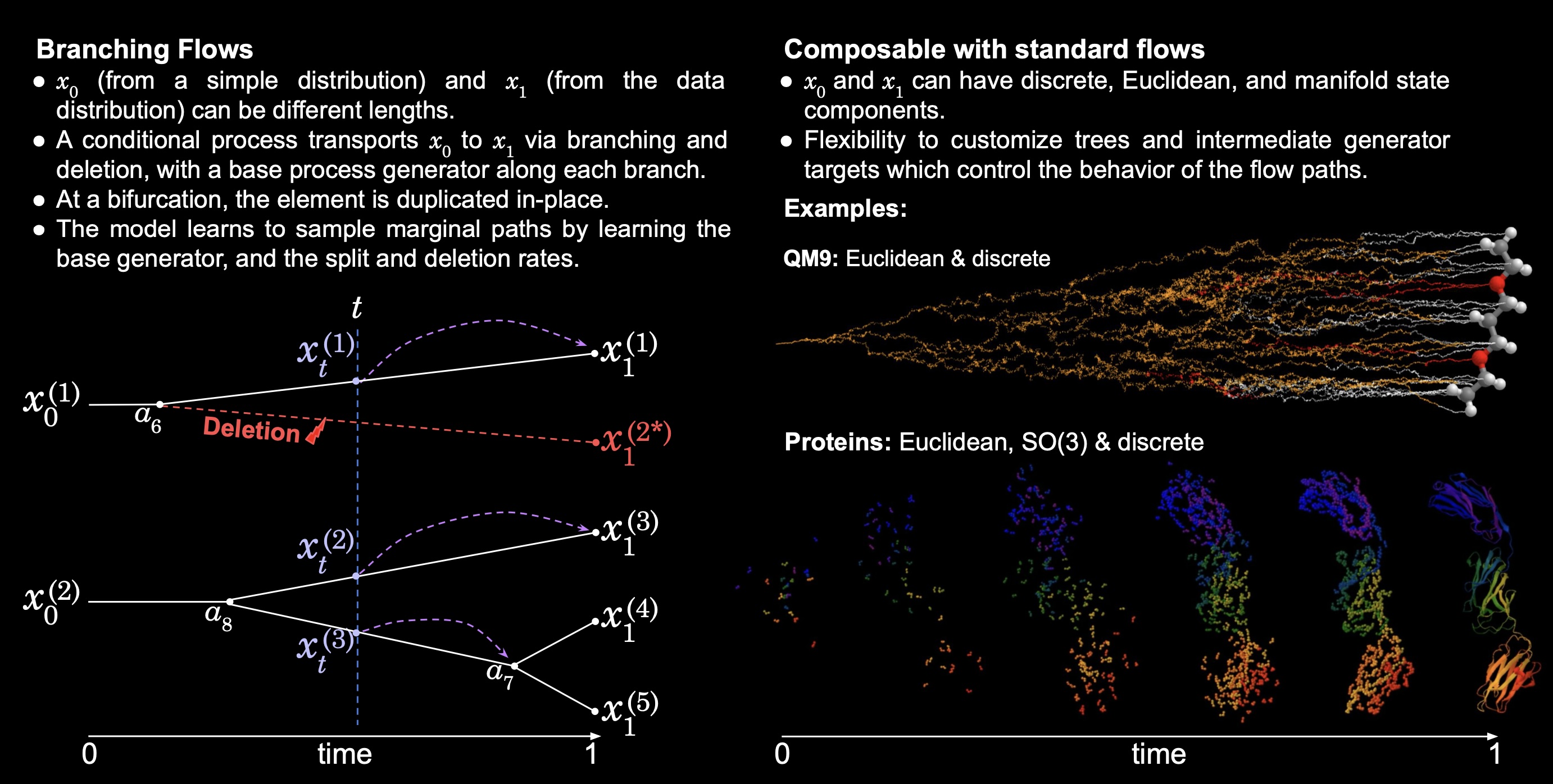 Graphical abstract showing Branching Flows transporting variable-length states through splits and deletions.
