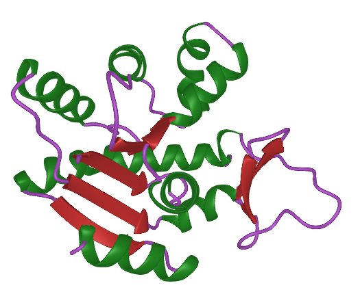 ProtPlot.jl logo
